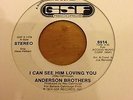 NORTHERN SOUL DEMO 45 - ANDERSON BROTHERS - I CAN SEE HIM LOVING YOU - GSF - EXC