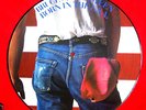 BRUCE SPRINGSTEEN -Born In The USA- Original UK Picture Disc LP (vinyl record)