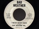 SOUL 45 BAD WEATHER INC. I NEVER NEVER KNEW RARE VG HEAR