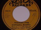 ALEMAYEHU BOROBOR - Tez.. Ethio / Afro orig. funk/jazz/psych 45 LISTEN