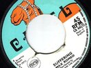 WINSTON BLAKE/SKINHEAD REGGAE/CAMEL CA66/SUFFERING - BLACK EQUALITY.EX..LISTEN