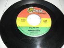 HORACE MARTIN    RUFF WE RUFF    wicked digi roots