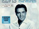 ELVIS 7