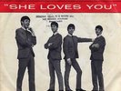 THE BEATLES 45 SHE LOVES YOU+PS VERY RARE ON SWAN RECORDS USA