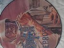 DEATH Leprosy ORIGINAL Pic LP Vinyl RAR