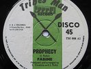 CLASSIC ROOTS Fabine Prophecy UK Tribes Man 12