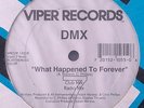 SEALED DMX-What Happened To Forever 12