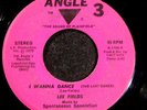 FUNK 45  LEE FIELDS  I WANNA DANCE  MIGHTY LOVE  ANGLE 3  RARE HEAR IT