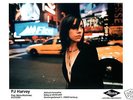 PJ Harvey - Rare Promo Photo 2000 - Alternative Let England Shake Glorious Land