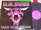 UK Subs - Mad Cow Fever prpl vinyl LP 91 Punk Hardcore Charlie Harper Fall12 017