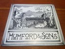 Mumford & Sons - Love your Ground | 10
