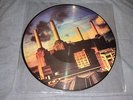 Pink Floyd Animals Picture Disc