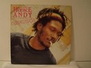 HORACE ANDY confusion REGGAE LP on MUSIC HAWK