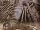 STEELY DAN THE ROYAL SCAM ORIG 1976 WLP WHITE LABEL PROMO LP NEAR MINT CONDITION