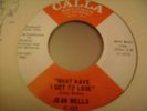 JEAN WELLS     WHAT HAVE I GOT TO LOSE