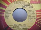 James Walsh Gypsy Band: Cuz it's you girl, same 45 DJ promo VG++/NM SNDCLP