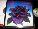 THIN LIZZY  -      Black Rose,   ORIGINAL 1979 UK LP/inner..... EX