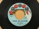LITTLE WALTER Diggin' My Potatoes/Shake Dancer 45 RARE BLUES R&B Checker HEAR
