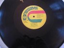 Nitty Gritty Man In A House/ False Alarm Greensleeves Orig.Digi Roots Reggae 12