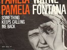 WAYNE FONTANA - Pamela Pamela (1966 VINYL SINGLE 7
