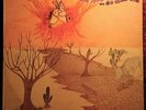 EDUARDO ARAUJO & SILVINHA SOU FILHO DESSE CHAO 1976 BRAZIL LP SOUL FUNK BREAKS
