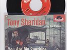 TONY SHERIDAN and the Beat Brothers - YOU ARE MY SUNSHINE , Polydor 24 849, DE