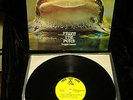 FROGGIE BEAVER FROM THE POND PROG-PSYCH ORIG 1973 NM LP  POKORA ACID ARCHIVES