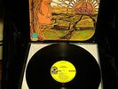 THE CHILDREN REBIRTH MINT- RARE PSYCH LP ATCO SD 33 271 ORIGINAL 1ST PRESS 1969