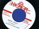 2013 AFRICAN BROTHERS-HOLD TIGHT-DEMON -1972  REGGAE 45 7