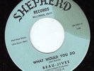 PRIVATE DOO-WOP 45 What Would You Do/I'll Never Be The Same BEAU-JIVES Shepherd