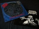 Morbid Angel 