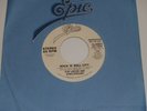 KIM LARSEN AND JUNGLEDREAMS Rock N Roll City / same 45 Epic 14-02827 NM PROMO