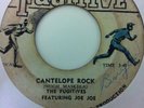 THE FUGITIVES - cantelope rock b/w the lecture - FUGITIVE