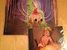 The Flaming Lips First EP Reissue 12