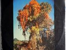 WE ALL TOGETHER 1 VERY RARE PSYCH GARAGE PROG FLOWER POP LP FROM PERU EXCELLENT