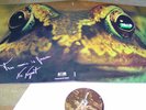 TOAD  LP SAME RE PROG ITALIA
