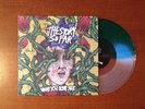 The Story So Far What You Don't See Vinyl Lp Record The Wonder Years Basement