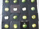 COLLECTION OF APPLE LABEL  7