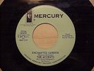 FANTASTIC DOO WOP 2 SIDER 1ST PRESS 45 THE 