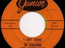 Northern Soul 45 THE SENSATIONS WITH YVONNE BAKER I Can't Change JUNIOR hear