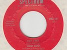DEEP SOUL -- HOAGY LANDS -- DO IT TWICE / A MAN AIN'T NO STRONGER THAN HIS HEARt