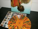 Vinyl LP 