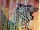 Amon Düül II - Wolf City (Vinyl) (LP)