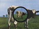 Pink Floyd   Atom Heart Mother   - diff cover -  2 x Vinyl LP near mint