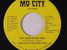 rare Modern Soul 45 DANI RAYE & NATURE'S WAY try something new MO-CITY