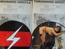 Throbbing Gristle PICTURE DISC (sexy) Death Factory May 79 Ltd Edition No 615
