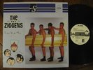 The Ziggens Three Wise Men and Dickie Skunk Records Surf Punk Sublime LP HEAR
