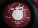 Doowop 45 The Dells  A Distant Love  Vee Jay 251
