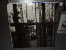 PAUL MCCARTNEY CHAOS AND CREATION IN THE BACKYARD MINT UNPLAYED BEATLES VINYL LP