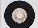 BLANK(RSIS )WHAT A HARD TIME -  RAPHAEL STEWART  ( 75 REGGAE 7
